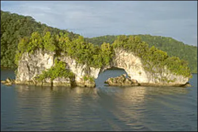 Qui a découvert ces îles ?