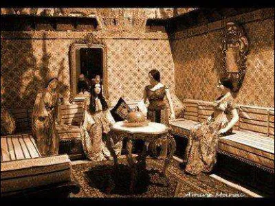 Quelle ancienne odalisque, offerte par le sultan Ottoman, a été l'épouse de 3 beys tunisiens ?