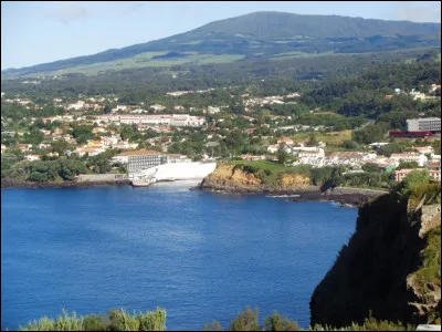 En plat, un filet de poisson et son indissociable sauce :