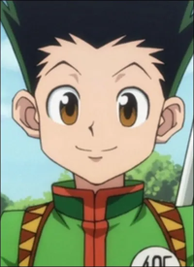 Gon est-il émerveillé par cet endroit ?