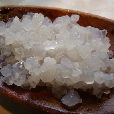 Les grains de kéfir sont des...
