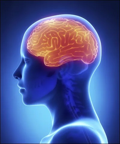 Selon toi, qui est la fille le plus intelligente ?