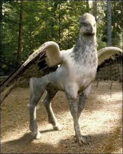 Comment s'appelle l'hippogriffe ?