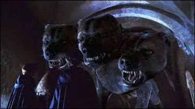 Comment s'appelle le chien &agrave; trois t&ecirc;tes de Hagrid ?