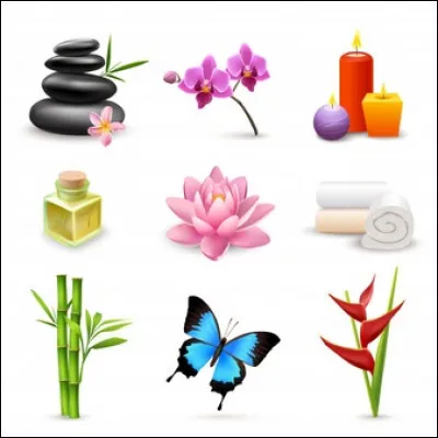 Qu'est-ce qu'un massage Hamma ?