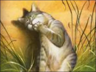 Tu pr&eacute;f&egrave;res manger :