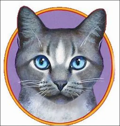 Tu pr&eacute;f&egrave;res :