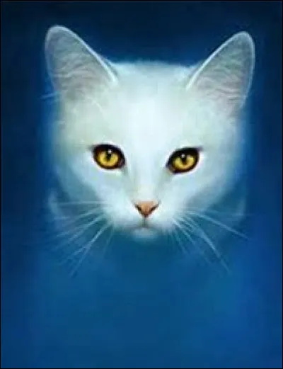 Tu pr&eacute;f&egrave;res...