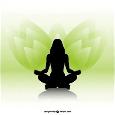 Le reiki est une pratique de bien-être et de relation d'aide, consistant à arrêter les maux de la personne...