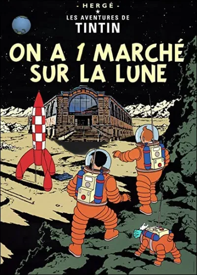 En voilà qui se la coule douce... et qui font leurs courses tranquillement sur la Lune ! Mais il y a un petit détail, tout de même, un peu bizarre ?