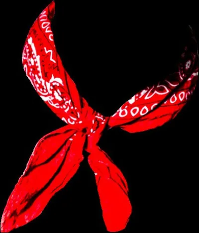 Quel chanteur français a chanté "Manu" ?