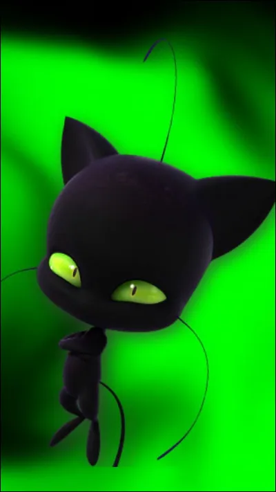 Comment s'appelle le Kwami de Chat Noir ?