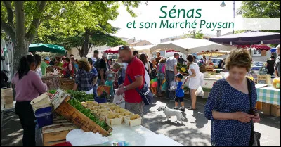 Dans quel département est située la commune de Sénas ?