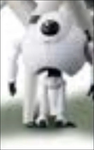 Comment s'appelle le petit robot qui les accompagne ?