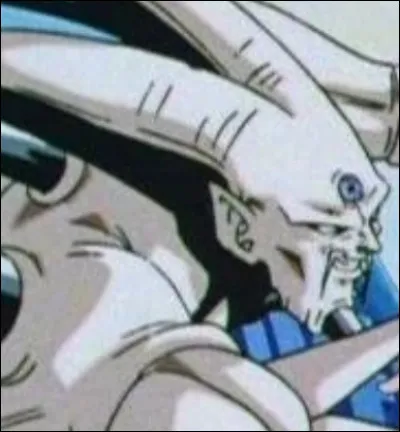 Qui tue Omega Shenron ?