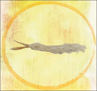 À quel objet moderne correspond ce vestige ?