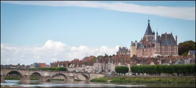 Ville de 15 000 habitants du département du Loiret, bordée par la Loire :