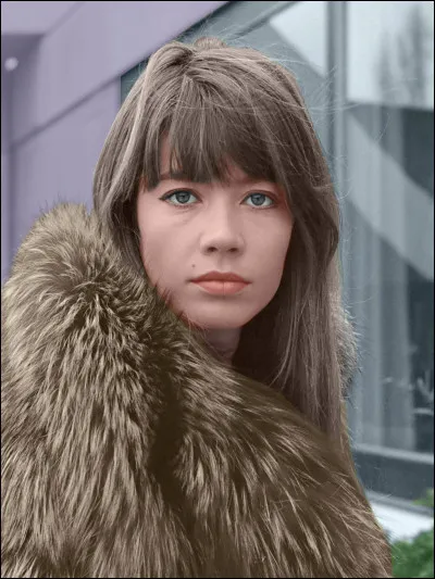 Un de ces quatre albums n'est pas de Françoise Hardy. Lequel ?