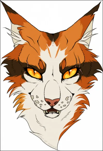 Où va cette personne ?