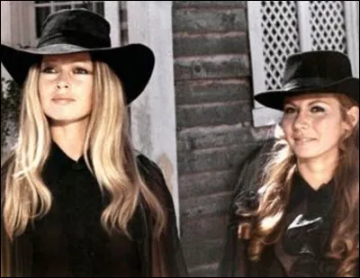 Quel est le titre du western parodique de Christian-Jaque sorti en 1971 avec Brigitte Bardot et Claudia Cardinale ?