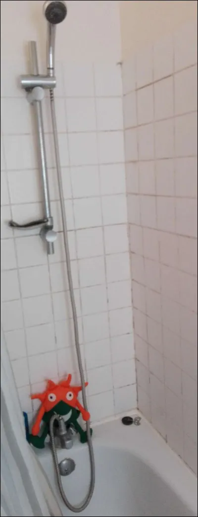 Sachant qu'un bain consomme 150 litres d'eau, combien consomme une douche ?