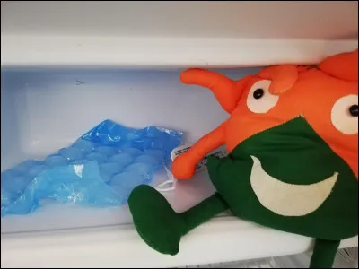 Quelle est la température idéale dans un congélateur ?