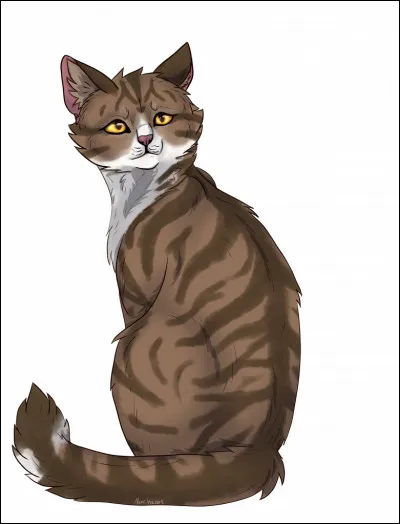 Un guerrier a des maux de ventre, que lui donnes-tu ?