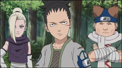 Qui est le maître de l'équipe 10 ?