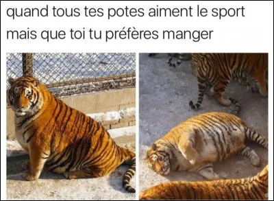 Quels sont les buts des ODD ?