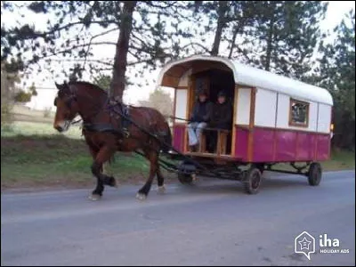 À quel Disney fait référence cet objet ?