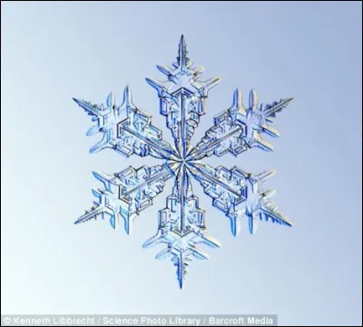 À quel Disney fait référence cet objet ?