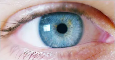 Pourquoi cligne-t-on régulièrement des yeux ?