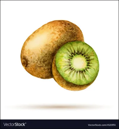 Comment s'appelle l'arbre à kiwis ?