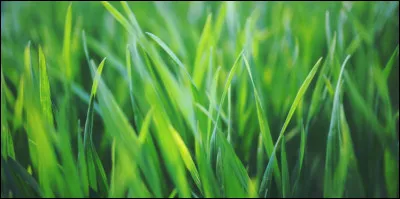 À quel Pixar fait référence cet objet ?