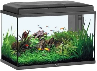 À quel Pixar fait référence cet objet ?