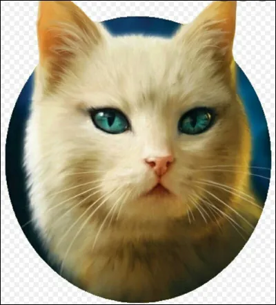 Je suis une chatte crème, mère de trois enfants qui ne sont pas nés dans la forêt. Mais ma seconde portée, elle, a vu le jour au sein du Clan du Tonnerre. Je suis...