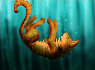 Je suis une guerrière du Clan de l'Ombre et je veux accuser un guérisseur d'avoir tué mon frère. Je suis...