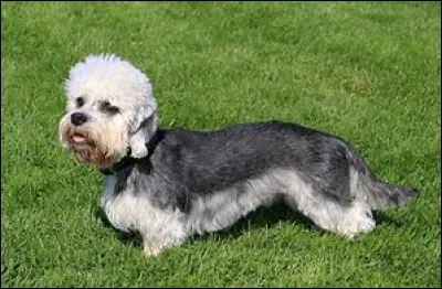 Avec ma drôle de coupe, me connaissez-vous ?