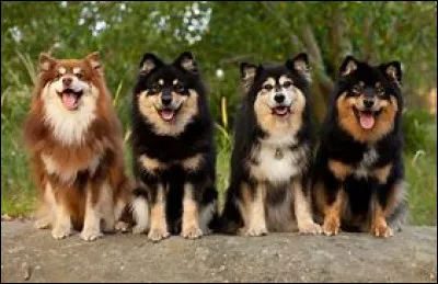 Un de mes noms est "Lapinkoïra", quel est le 2ème ?