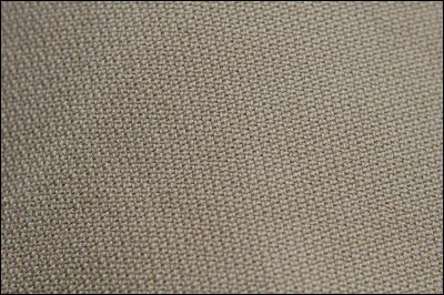 D'après Jean Savant, qui serait le vrai père de Napoléon III ?