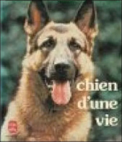 Qui était le principal dieu des Babyloniens, fils aîné du dieu de l'eau Ea ?