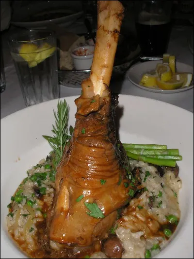 En 1981, quel fut le premier animal transgénique ?