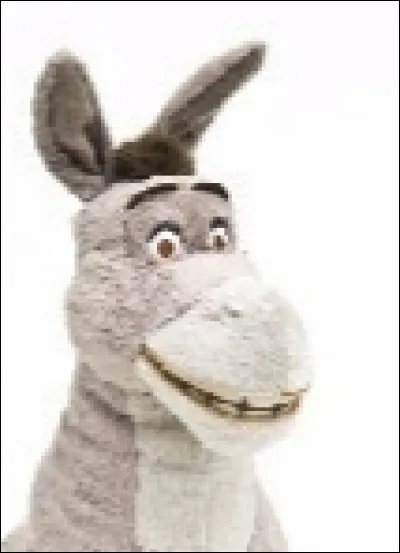 Quelle est l'attitude de l'âne de Buridan ?