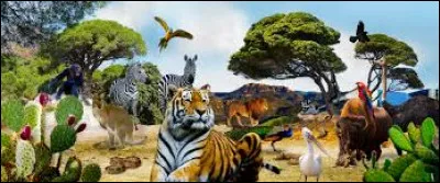 Quel animal préfères-tu ?