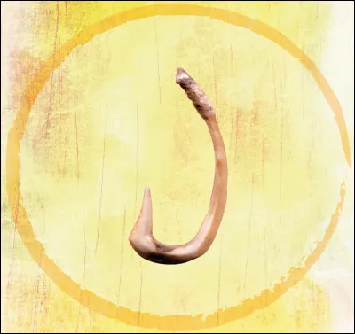 À quel objet moderne correspond ce vestige ?