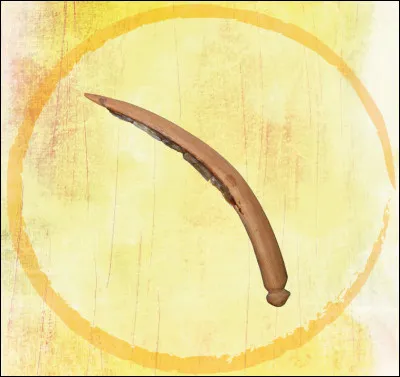 À quel objet moderne correspond ce vestige ?