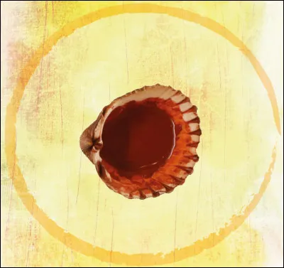 À quel objet moderne correspond ce vestige ?