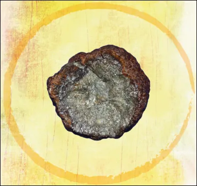 À quel objet moderne correspond ce vestige ?