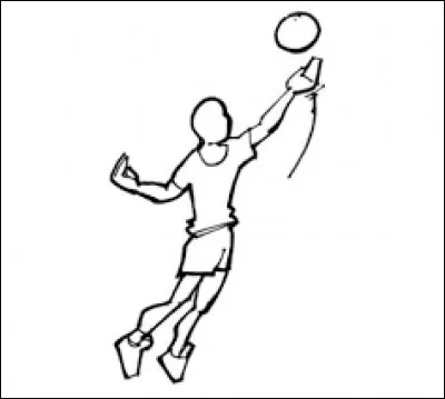Comment se nomme le volley-ball sur la plage ?