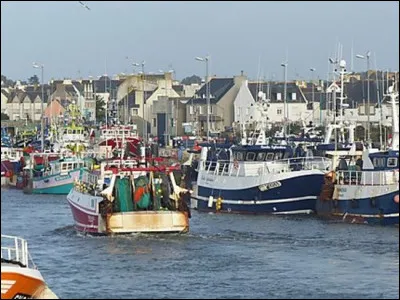 Petite ville bretonne de 2 600 habitants, située à la pointe sud du Finistère, en pays Bigouden, important port de pêche :